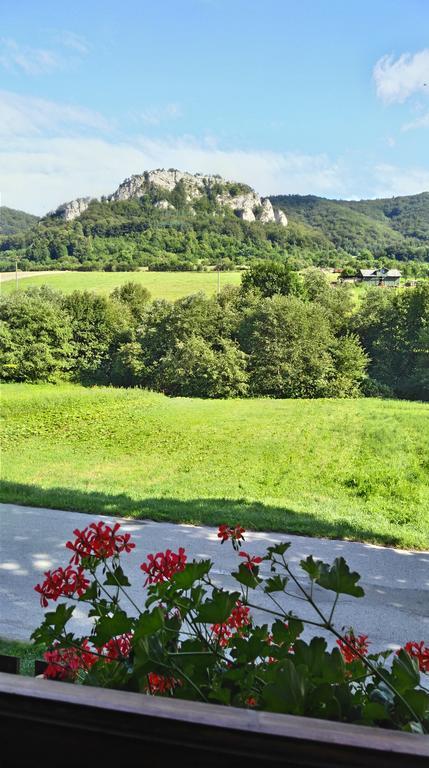 Penzion Manin Povazska Bystrica Ngoại thất bức ảnh